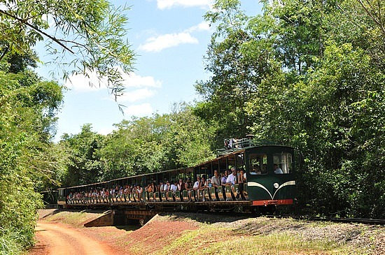 Jungle train in the Iguazu Falls