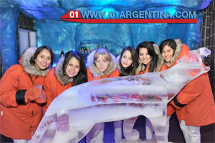 Ice bar in iguazu falls